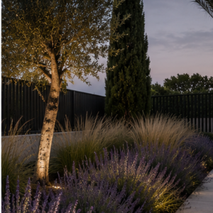 Casa en Las Rozas, visualización del jardín con olivo y lavanda